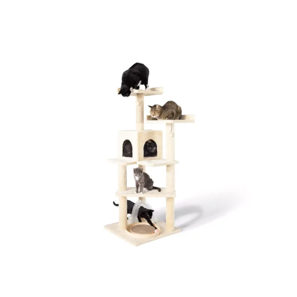 Whisker City® 60-in Playbox, Ball Track with Scratcher Toys Cat Tree